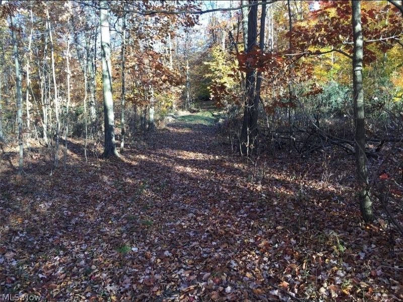 Twp Road 581, Sullivan, OH 44880 Photo 12