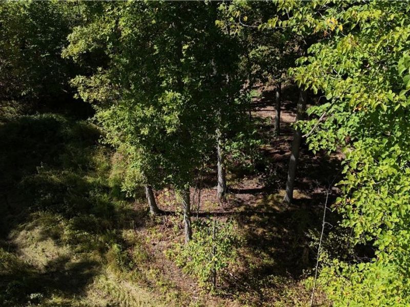 Twp Road 581, Sullivan, OH 44880 Photo 3