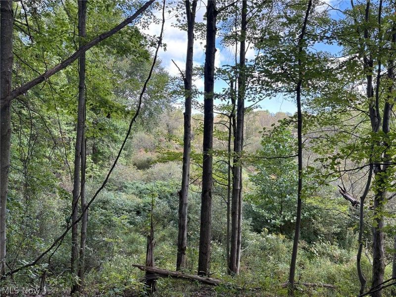 Scribner Road, Pierpont, OH 44082 Photo 10