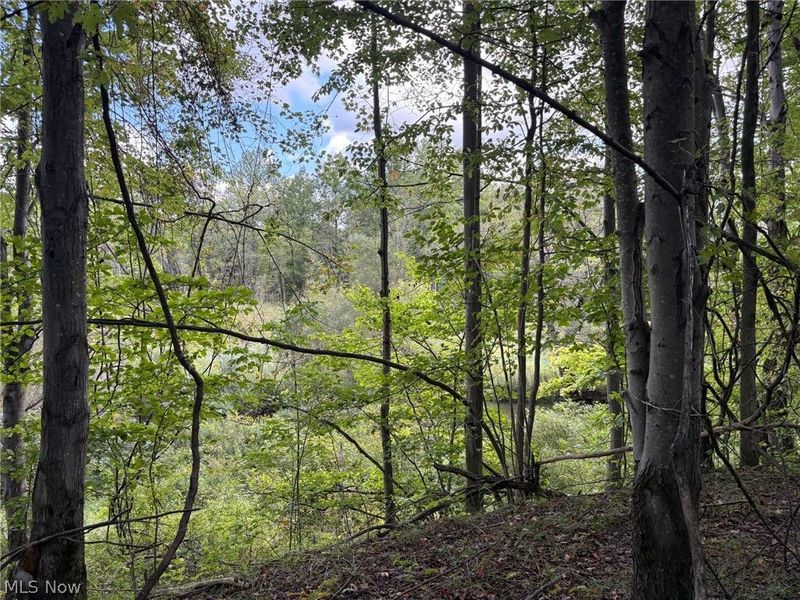 Scribner Road, Pierpont, OH 44082 Photo 11