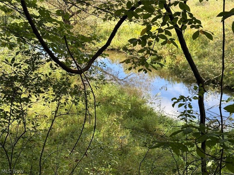 Scribner Road, Pierpont, OH 44082 Photo 13