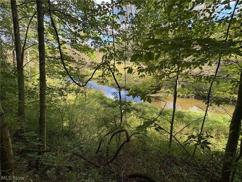 Scribner Road, Pierpont, OH 44082 Photo 14