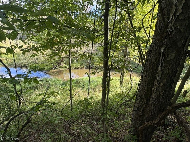 Scribner Road, Pierpont, OH 44082 Photo 15