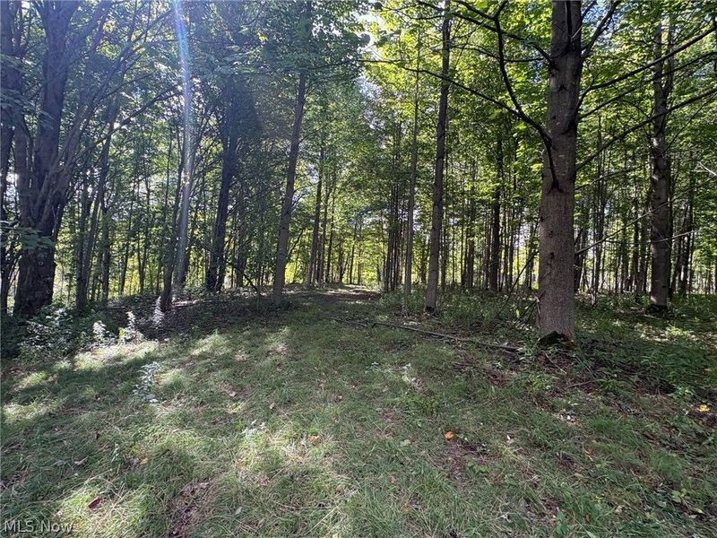 Scribner Road, Pierpont, OH 44082 Photo 16