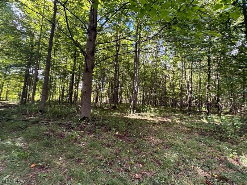Scribner Road, Pierpont, OH 44082 Photo 17