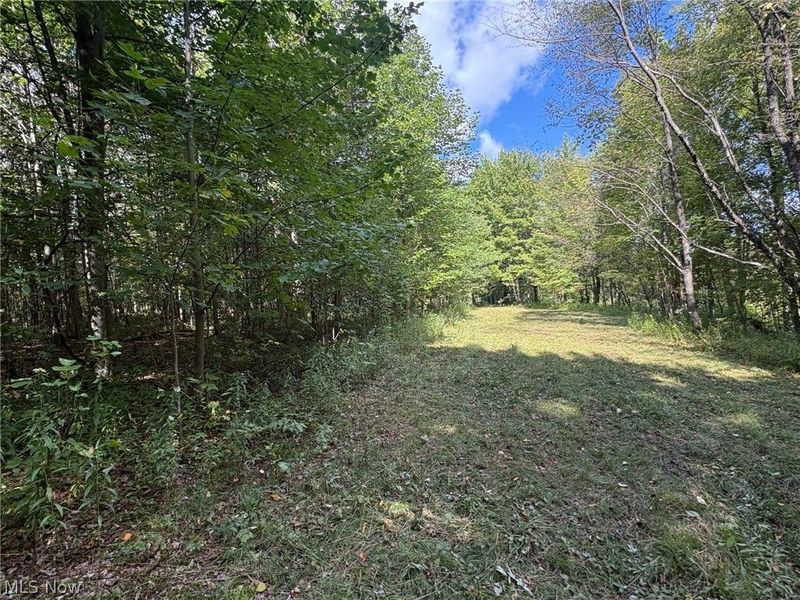 Scribner Road, Pierpont, OH 44082 Photo 18