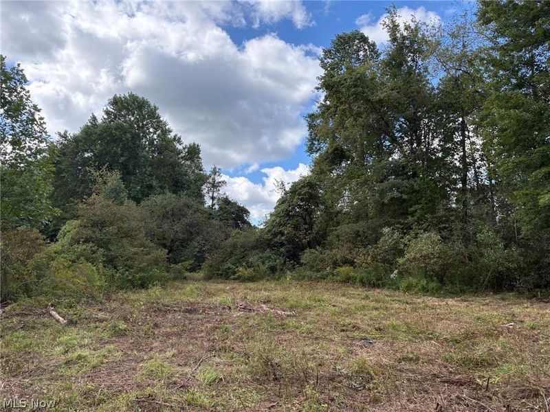 Scribner Road, Pierpont, OH 44082 Photo 2