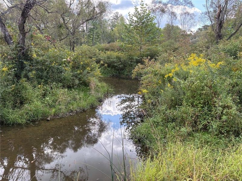Scribner Road, Pierpont, OH 44082 Photo 3