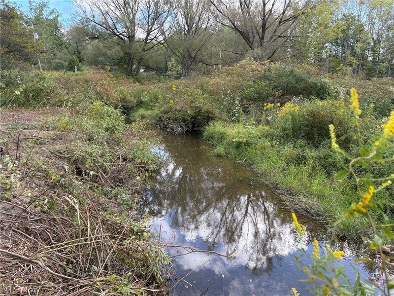 Scribner Road, Pierpont, OH 44082 Photo 4