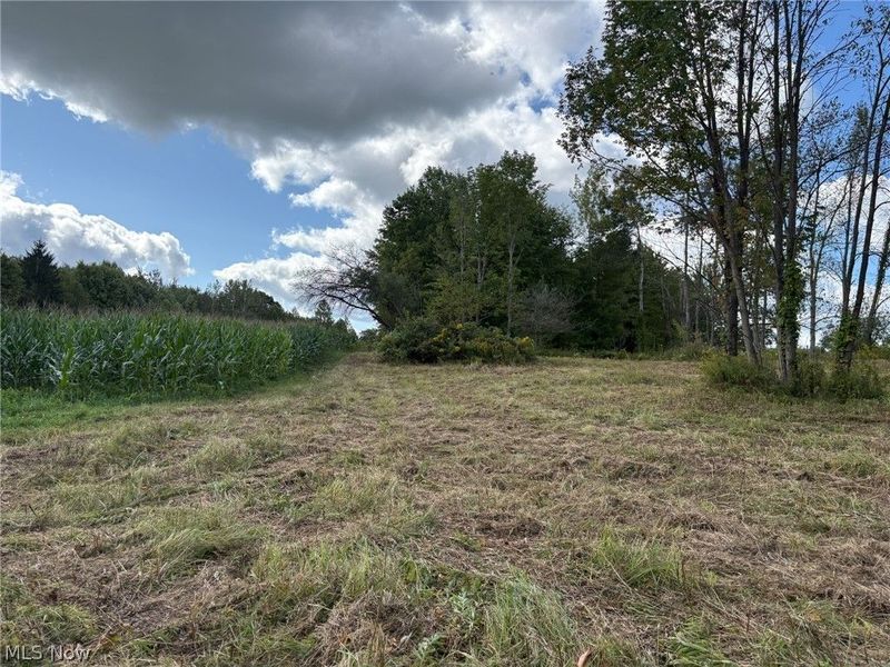 Scribner Road, Pierpont, OH 44082 Photo 5