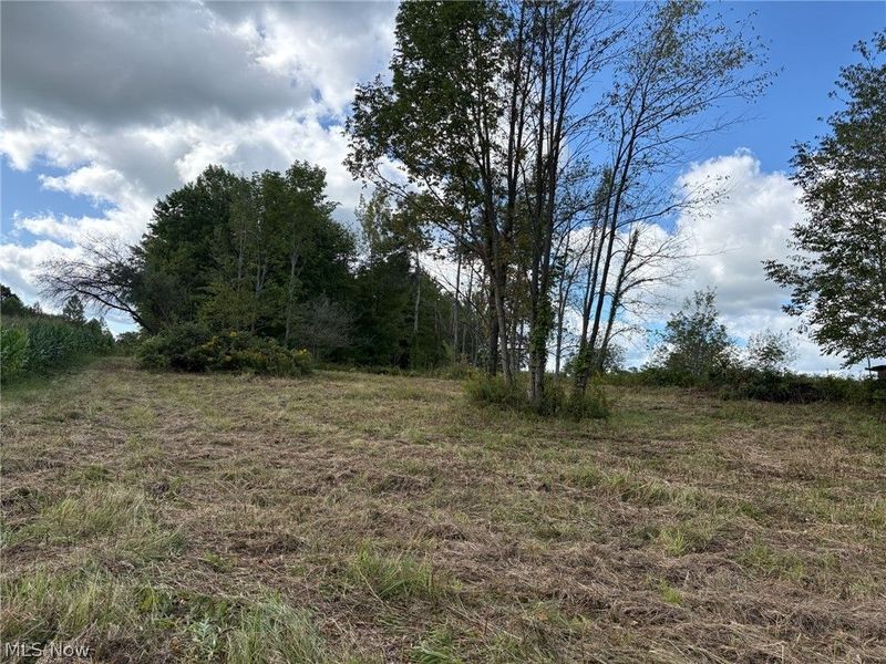 Scribner Road, Pierpont, OH 44082 Photo 6