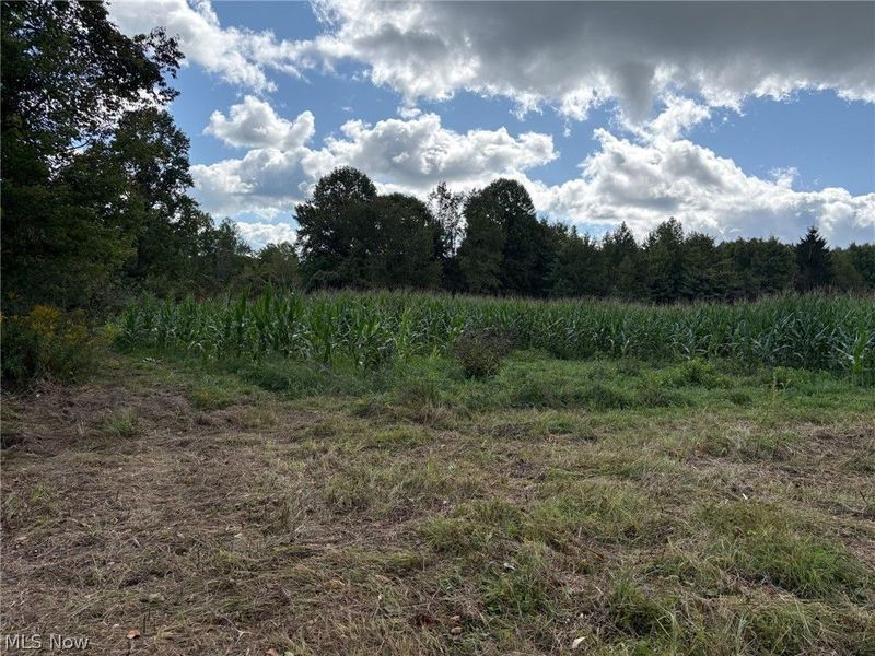 Scribner Road, Pierpont, OH 44082 Photo 7