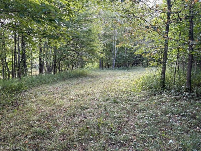 Scribner Road, Pierpont, OH 44082 Photo 8