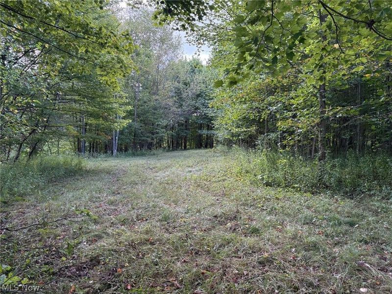 Scribner Road, Pierpont, OH 44082 Photo 9