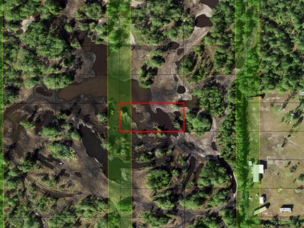 0 Holopaw Groves Road, St. Cloud, FL 34772