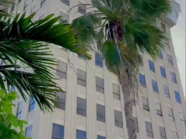 1250 E Hallandale Beach Blvd , Hallandale Beach, FL 33009