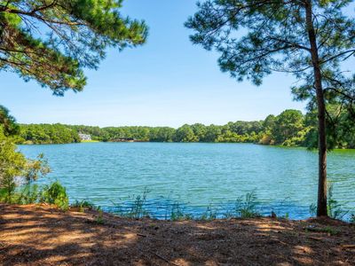 4031 Gnarled Oaks Lane, Johns Island, SC 29455