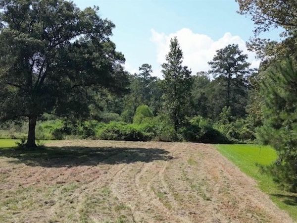 14422 Lockhart Ln, Walker, LA 70785