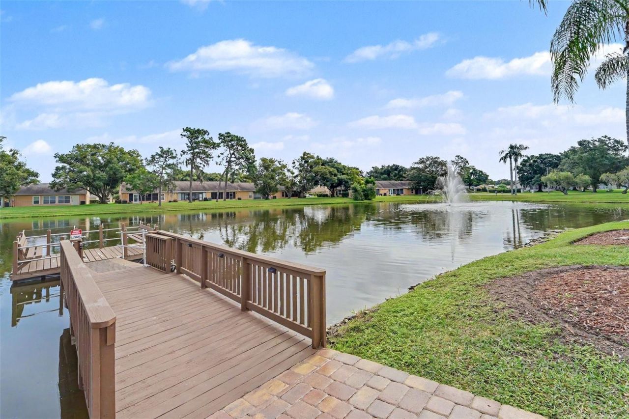 9022 Ramsgate Drive , New Port Richey, FL 34655 Photo