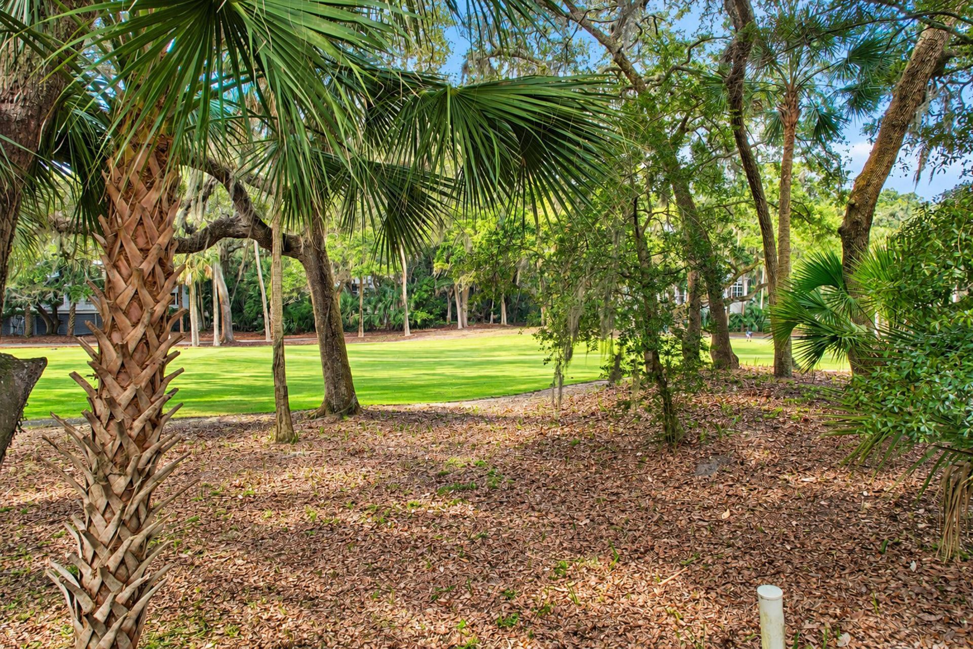 1115 Summer Wind Lane Photo 54