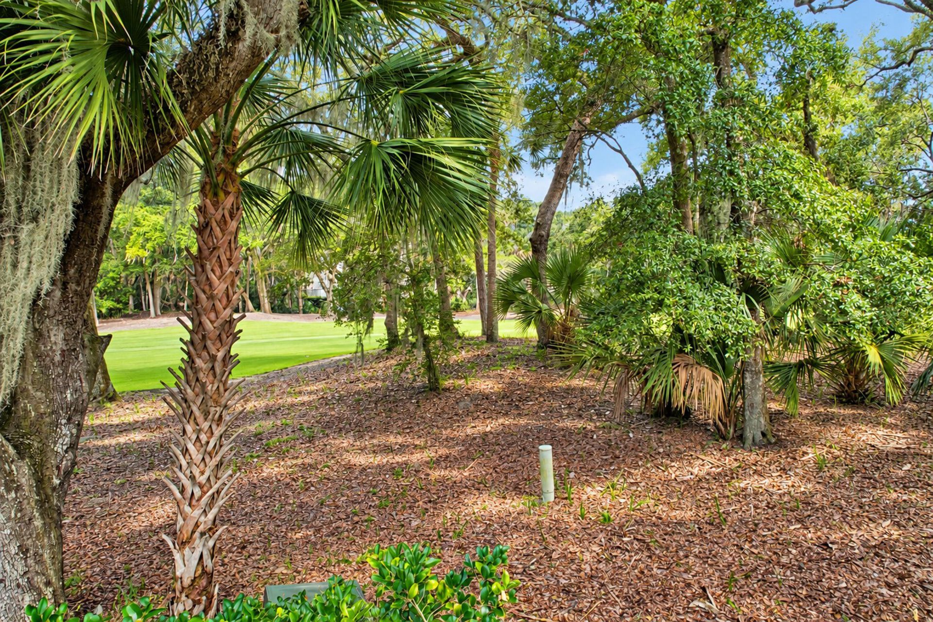 1115 Summer Wind Lane Photo 55