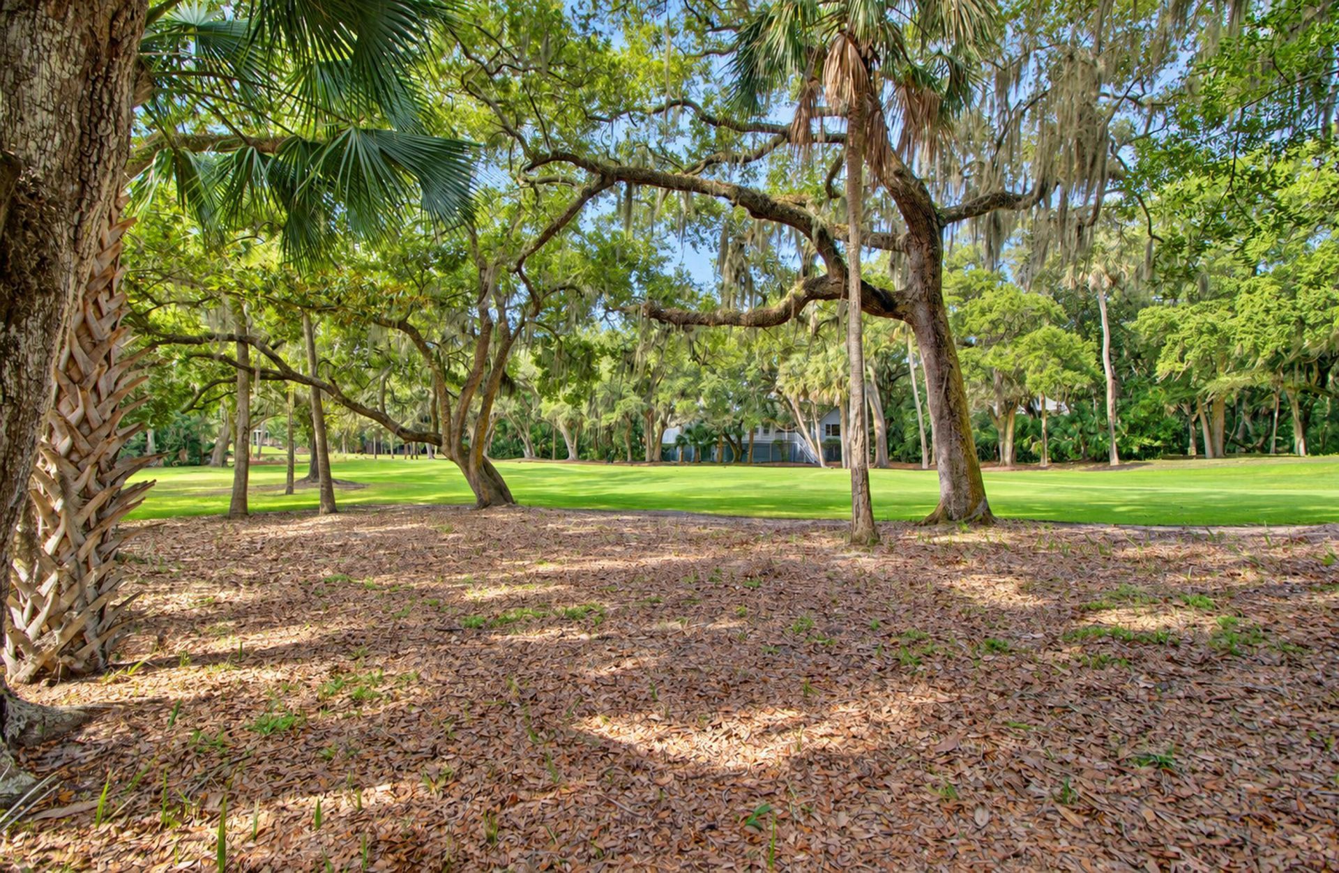 1115 Summer Wind Lane Photo 56