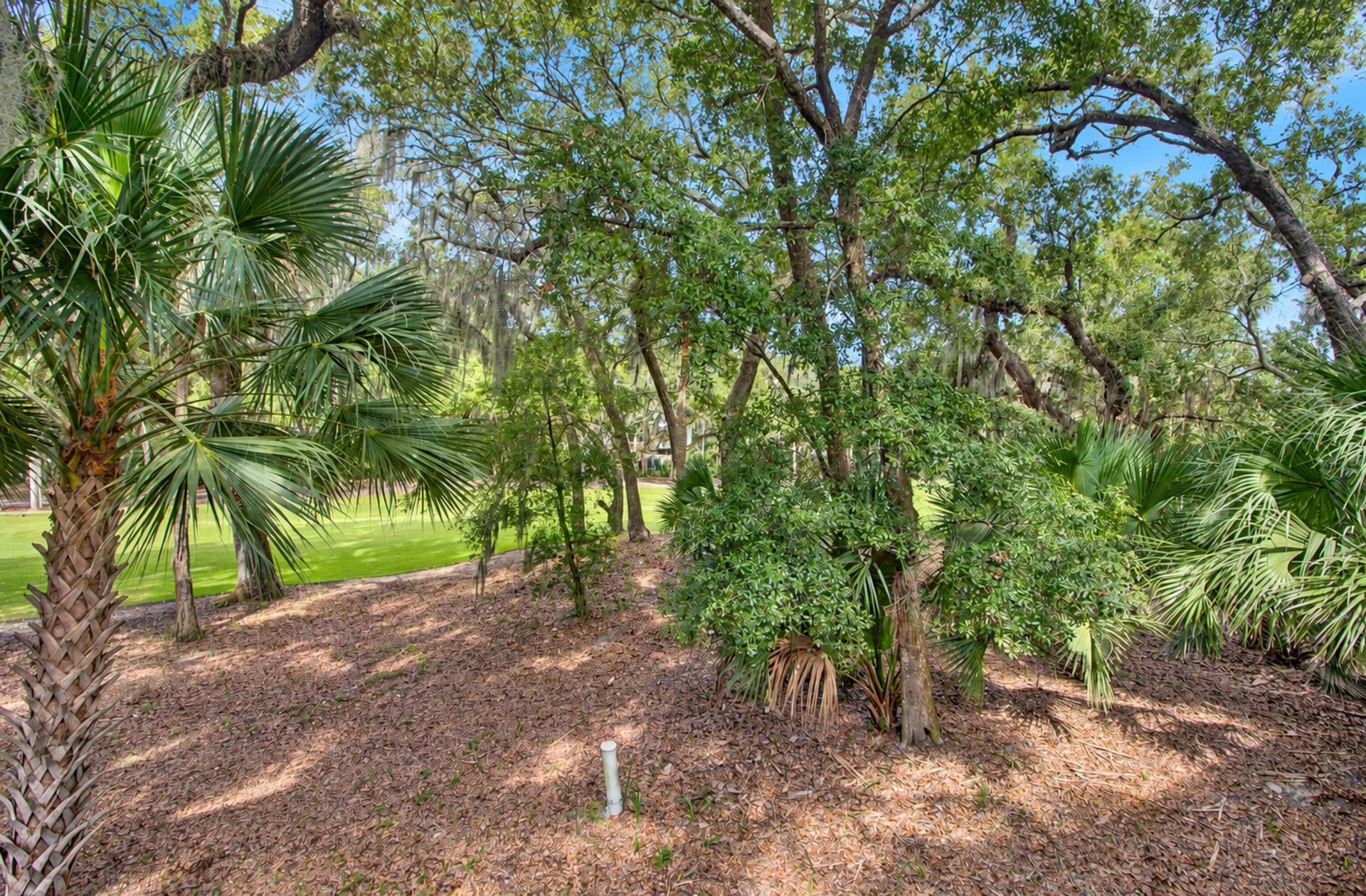 1115 Summer Wind Lane Photo 57