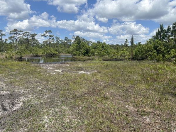 0 Holopaw Groves Road, St. Cloud, FL 34772