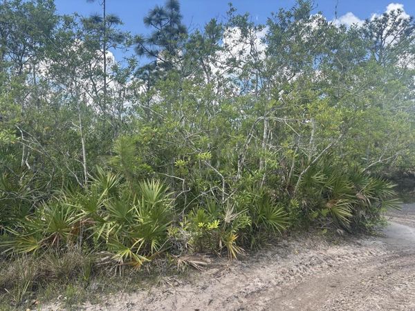 0 Holopaw Groves Road, St. Cloud, FL 34772