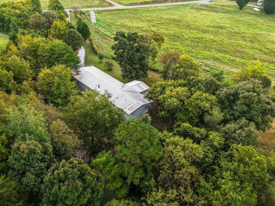 Property Image 37