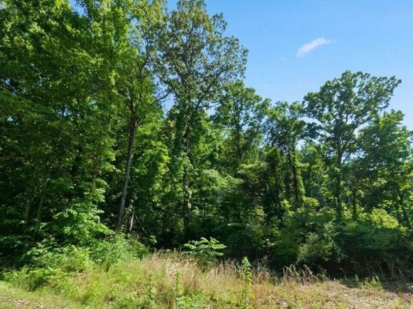 77 Autumnwood Trail, Decatur, AL 35603