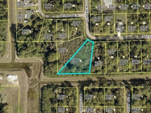 3223 W 47th St. , Lehigh Acres, FL 33971