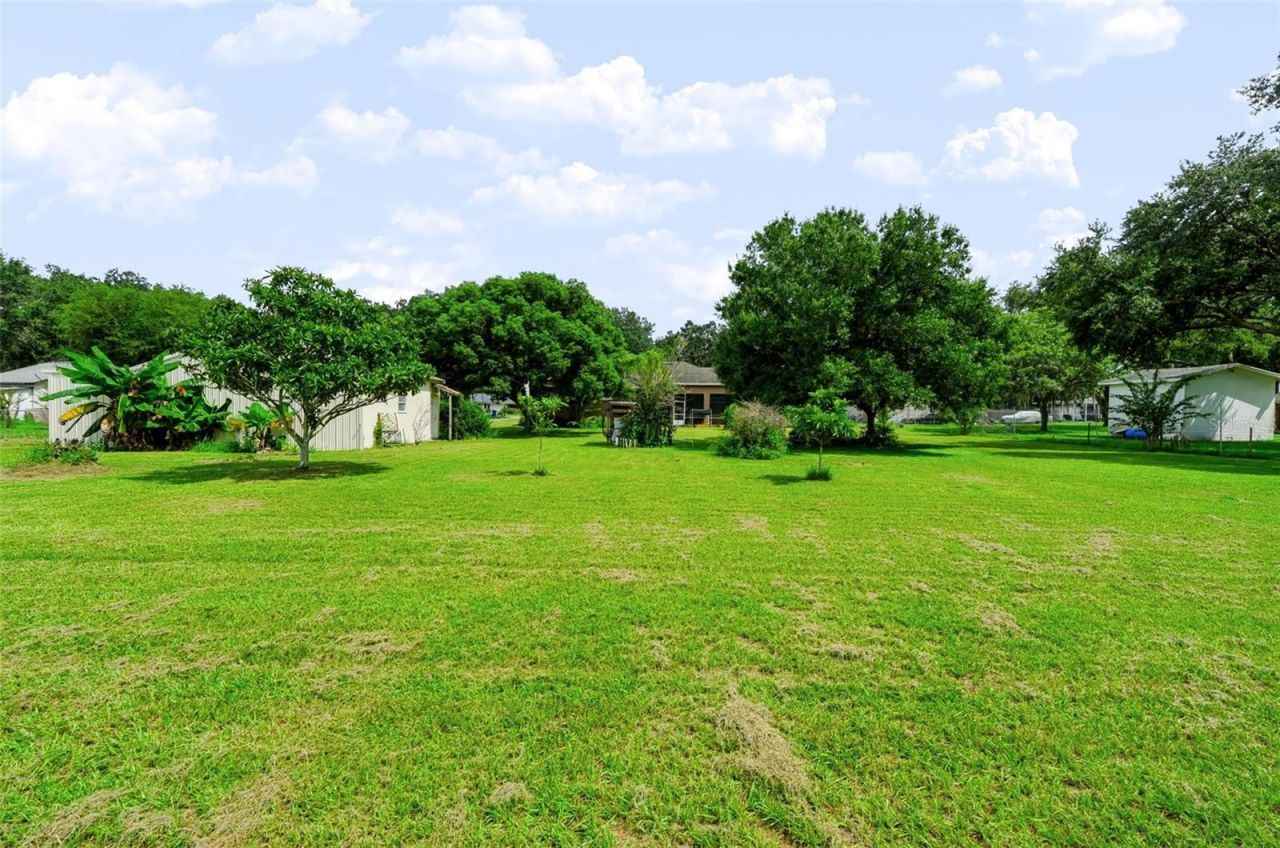 7105 Otto Road , Plant City, FL 33567 Photo