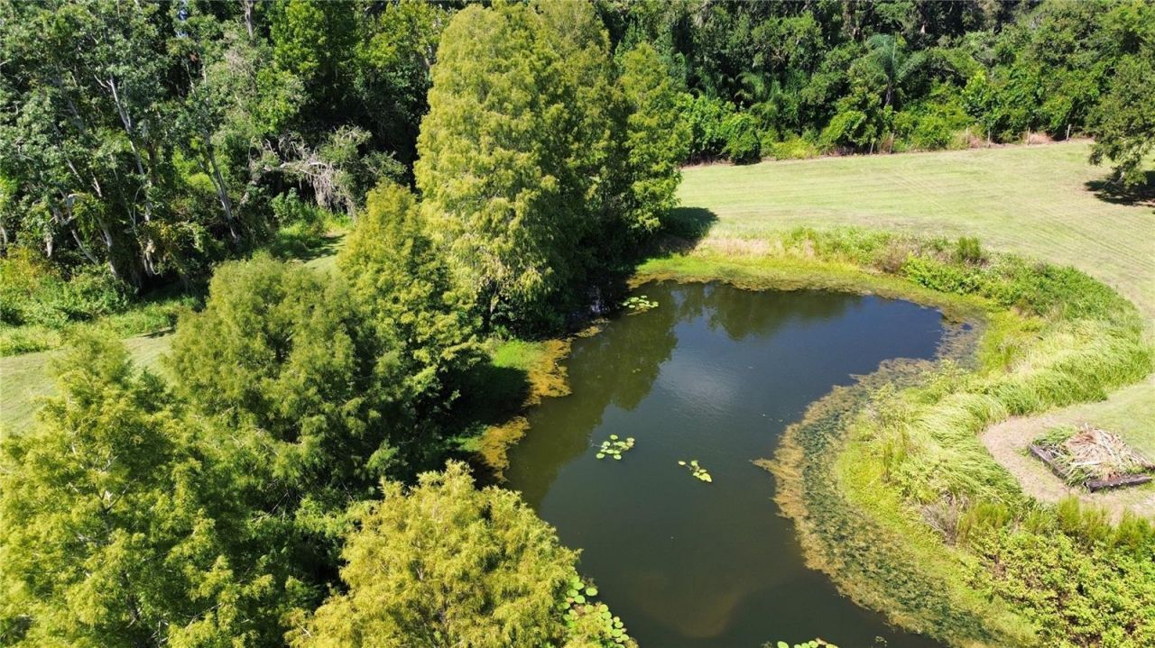 24202 State Road 64 E, Myakka City, FL 34251 Photo