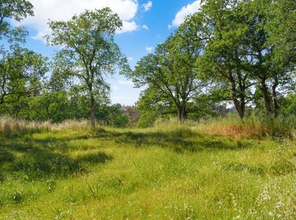 Vance Ln, Folsom, CA 95630 Photo