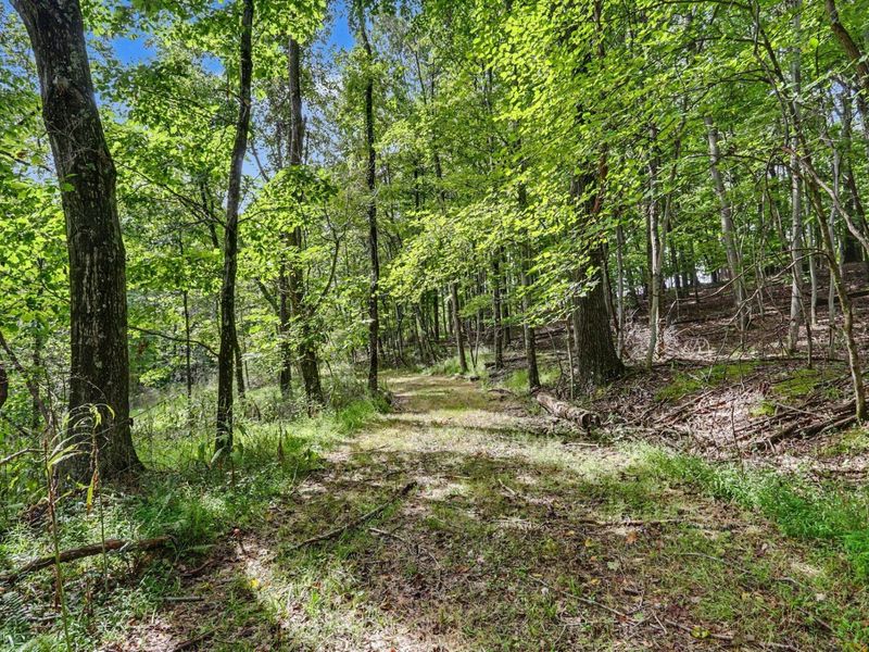 0 SE Taos Lane , Sugar Grove, OH 43155 Photo 5