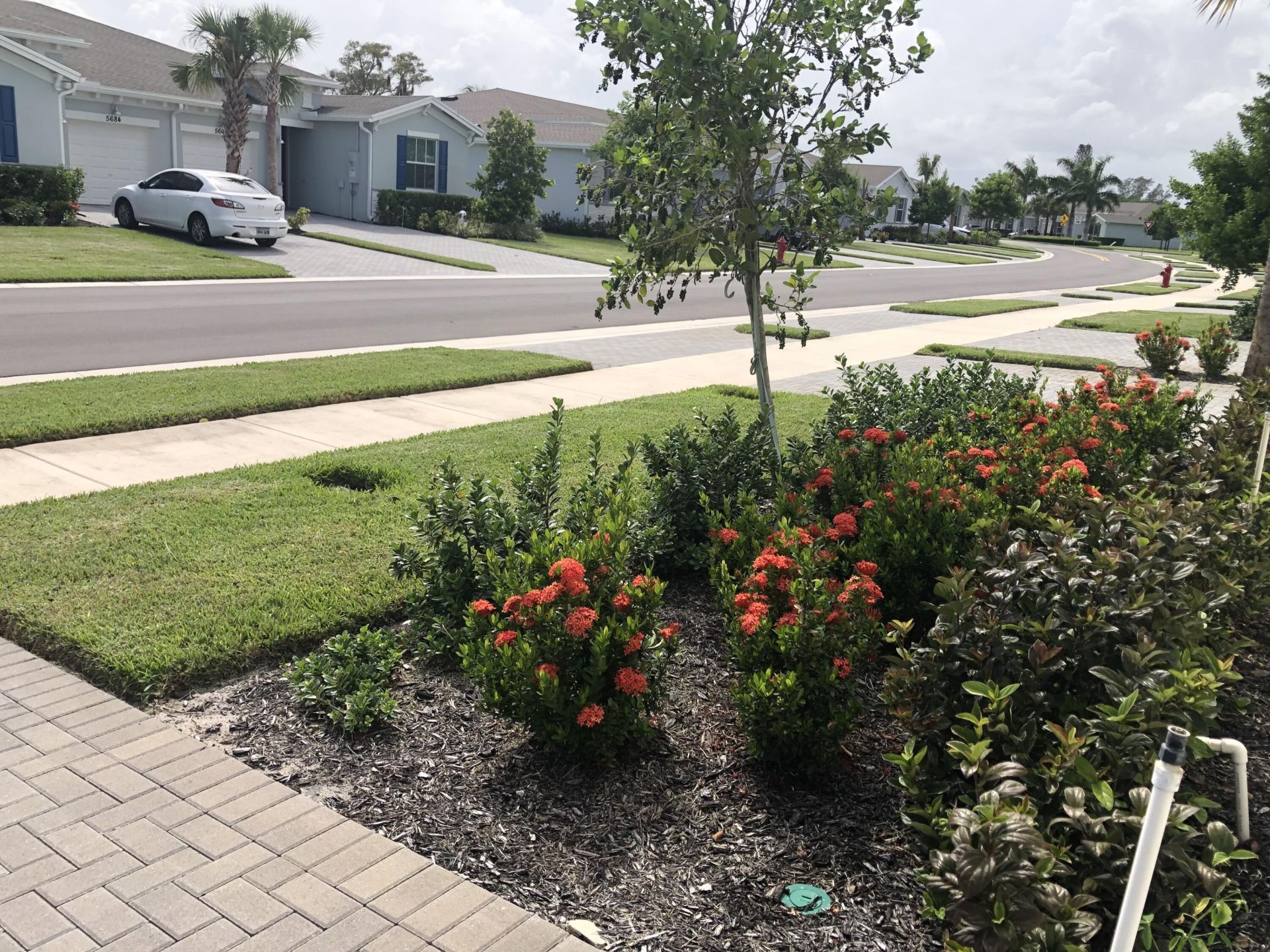 5665 Divine Drive, Delray Beach, FL 33484 Photo