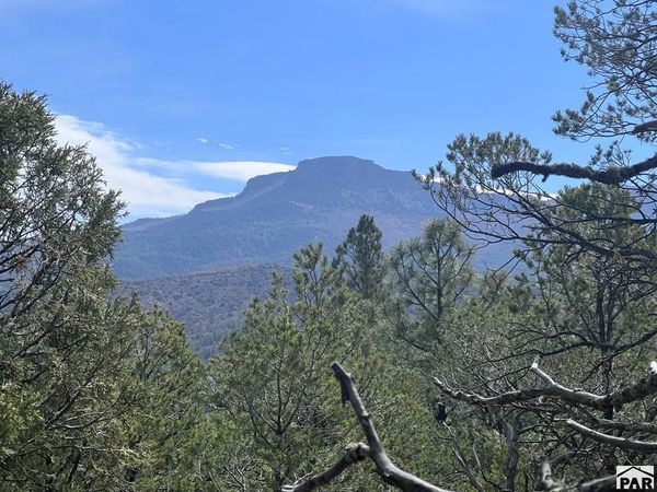 7662 Pass Creek Ct, Trinidad, CO 81082