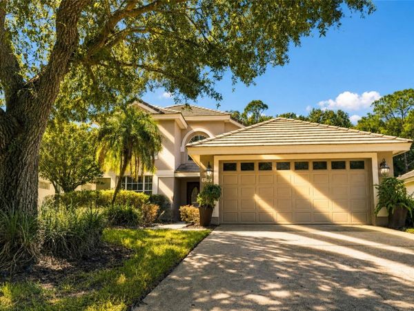 17704 NATHANS DRIVE , TAMPA, FL 33647