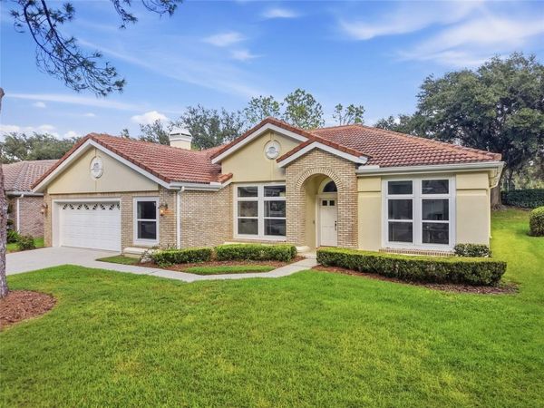 17911 HOLLY BROOK DRIVE , TAMPA, FL 33647