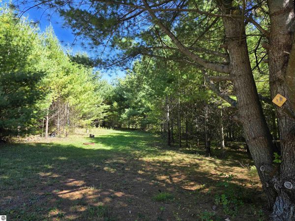 577 Birch, Mikado, MI 48745