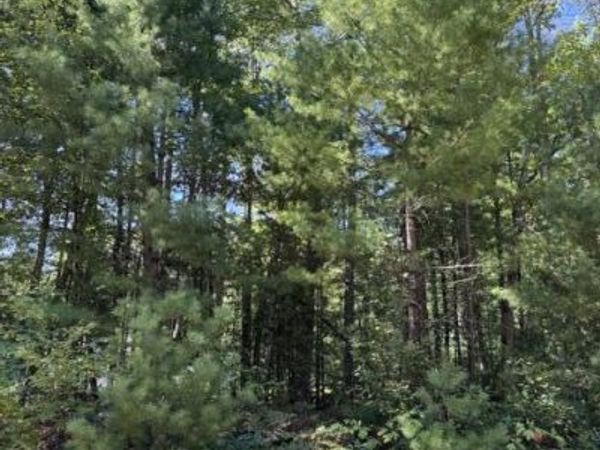 V/L S Pershing Road, Baldwin, MI 49304
