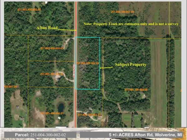 VL Afton Road, Wolverine, MI 49799