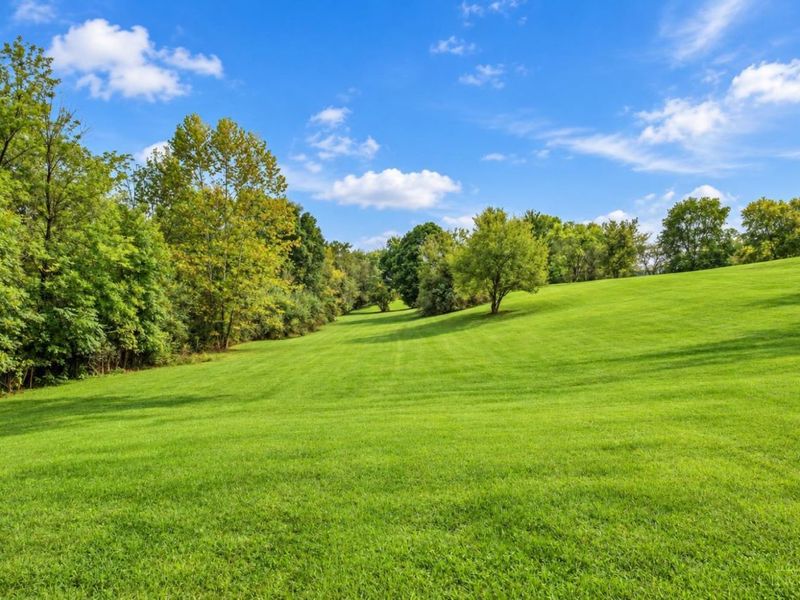 12873 New Hope White Oak Station Rd, Scott Township, OH 45171 Photo 20