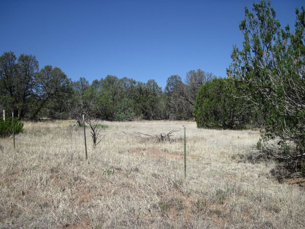 152 Jesse James Road , Edgewood, NM 87015