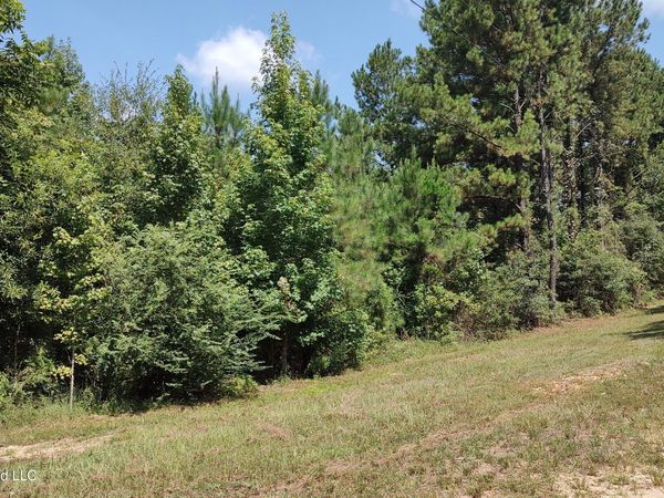 Worth Nall Road, Lumberton, MS 39455