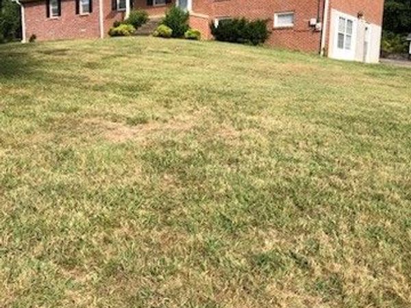 3325 Freeman Hollow Rd, Goodlettsville, TN 37072