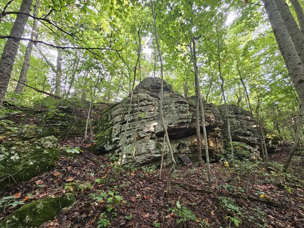 9 Myers Town Road , Beersheba Springs, TN 37305