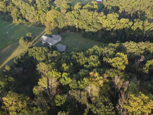 8339 Nixon Chapel Road, Horton, AL 35980