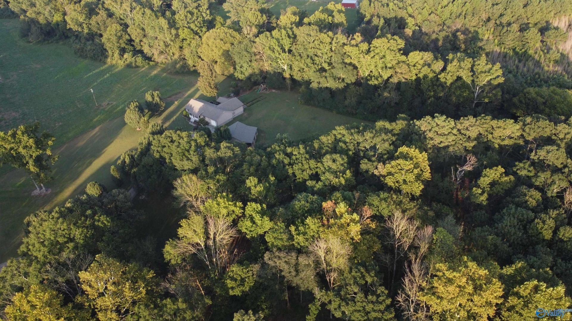 8339 Nixon Chapel Road, Horton, AL 35980 Main Photo